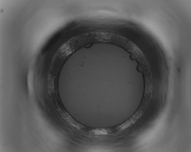 X0000087350765200705181126