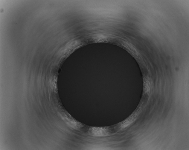 X0000087350766200705181126