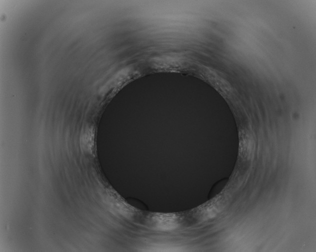 X0000087350767200705181126