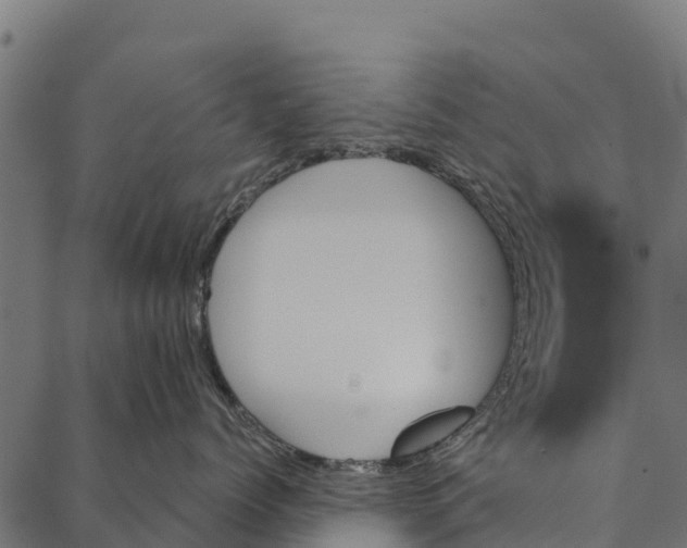 X0000087350768200705181126