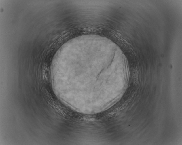 X0000087350770200705181125