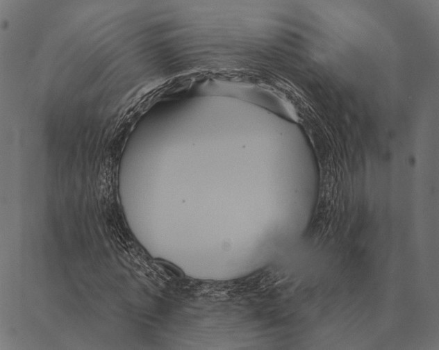 X0000087350773200705181125