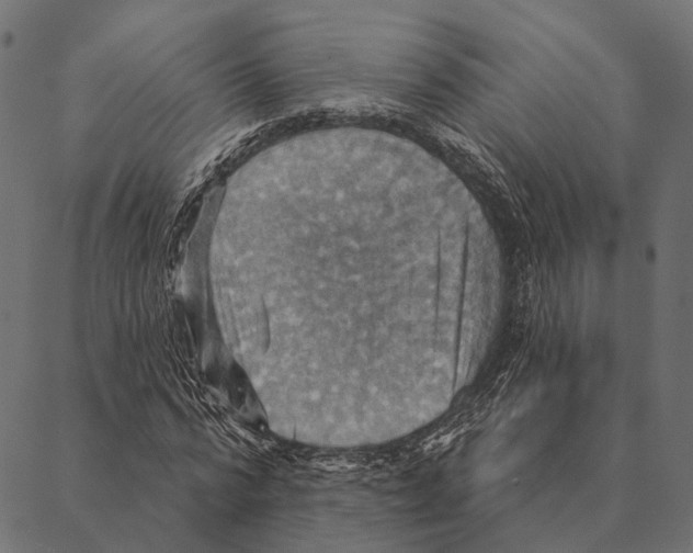 X0000087350776200705181125