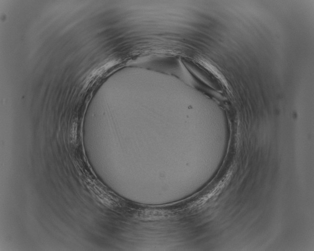 X0000087350777200705181125