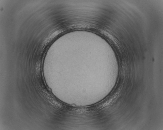 X0000087350778200705181125