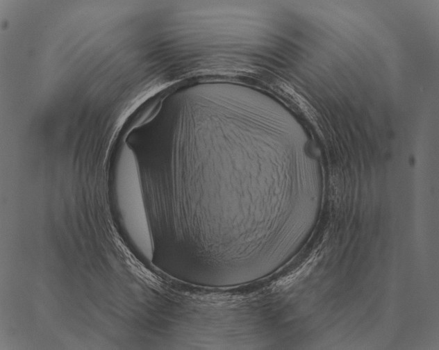 X0000087350779200705181125