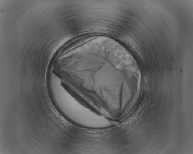 X0000087350780200705181125