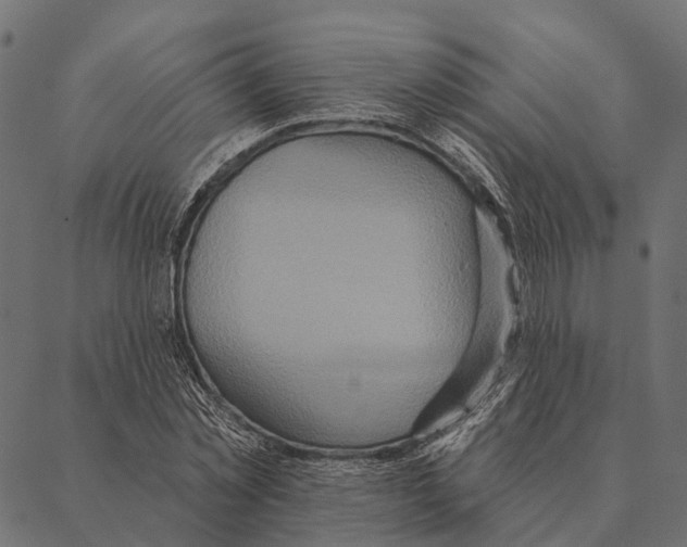 X0000087350781200705181125