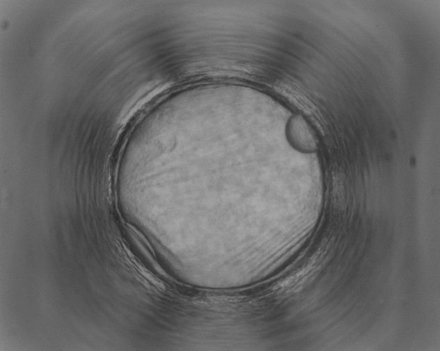 X0000087350782200705181125