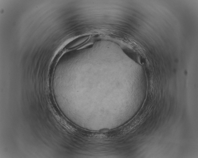 X0000087350784200705181125