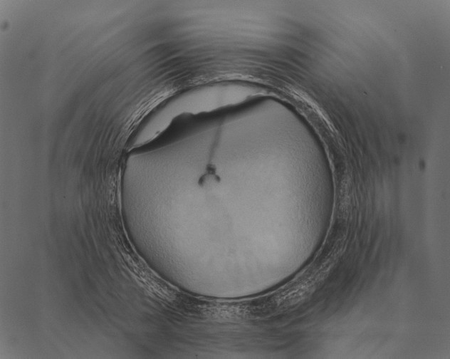 X0000087350785200705181125