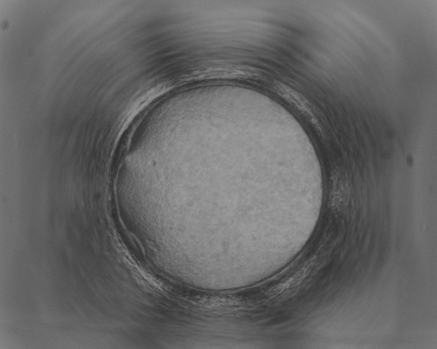 X0000087350786200705181125