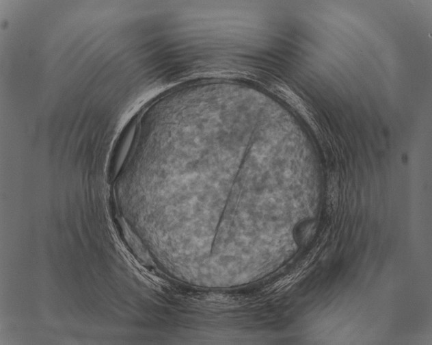 X0000087350787200705181125