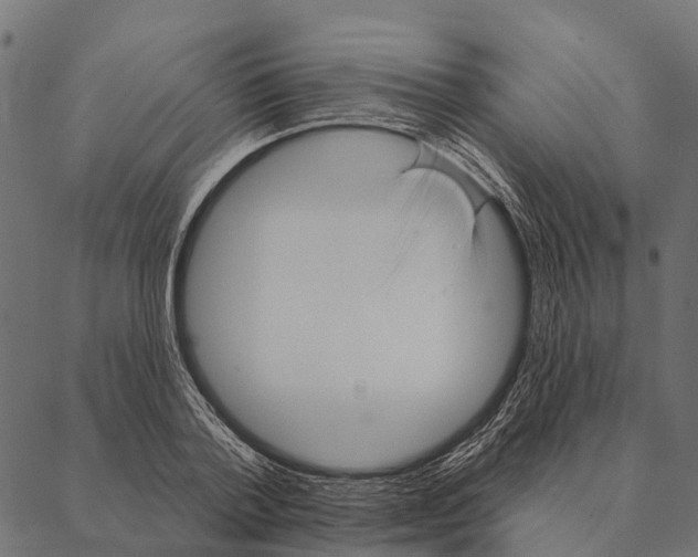 X0000087350788200705181125