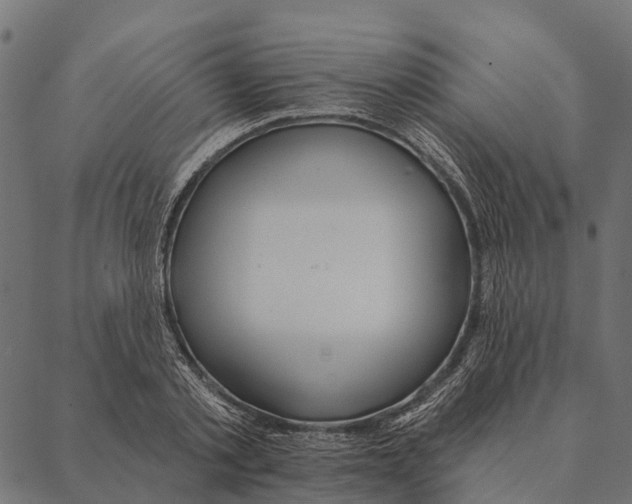 X0000087350789200705181125