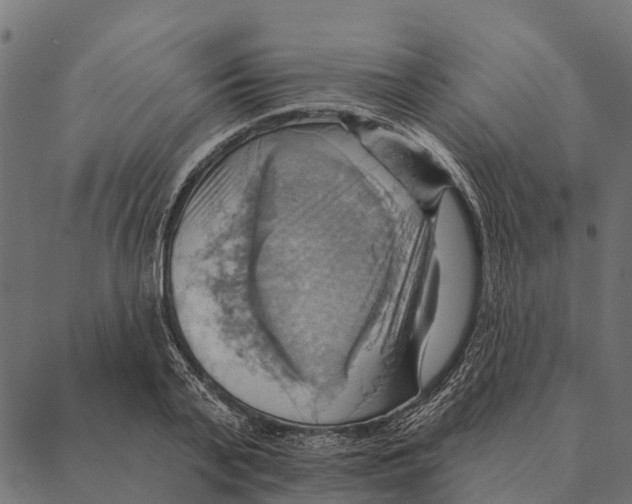 X0000087350791200705181125