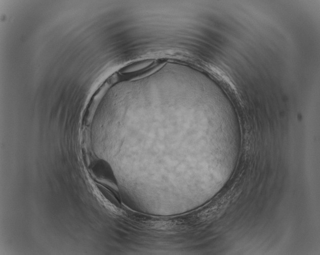 X0000087350792200705181125