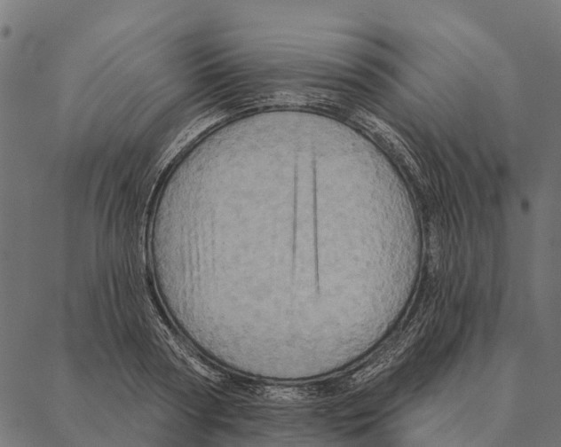 X0000087350794200705181125