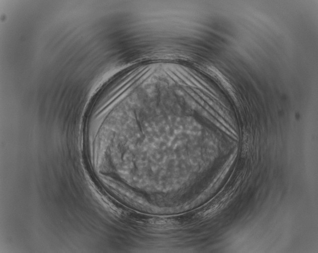 X0000087350795200705181125