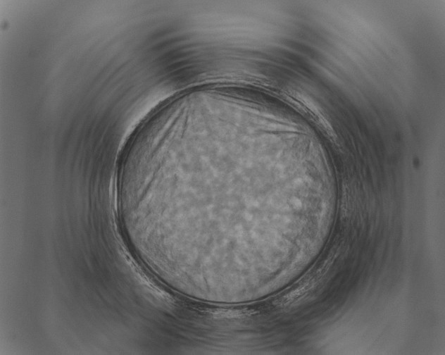 X0000087350796200705181125