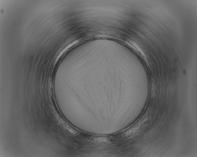 X0000087350798200705181125