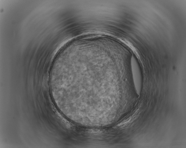 X0000087350799200705181125