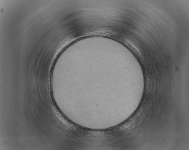 X0000087350800200705181125