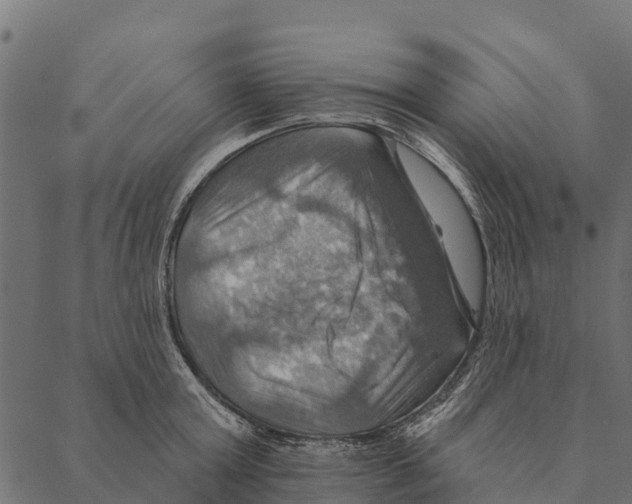 X0000087350803200705181125