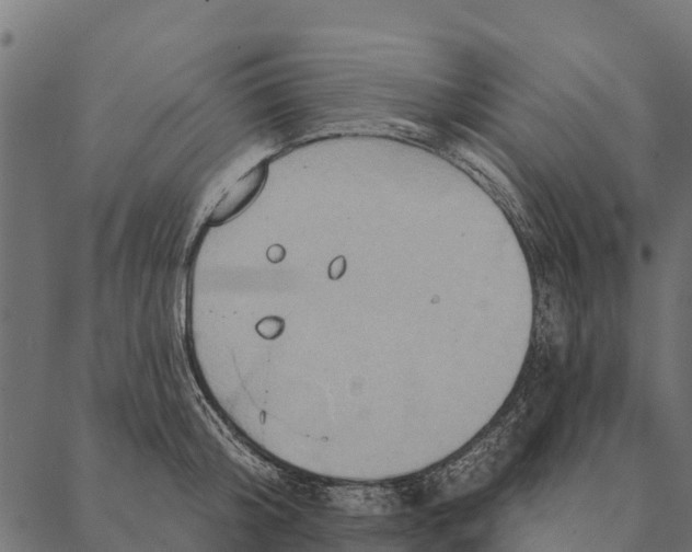 X0000087350804200705181125