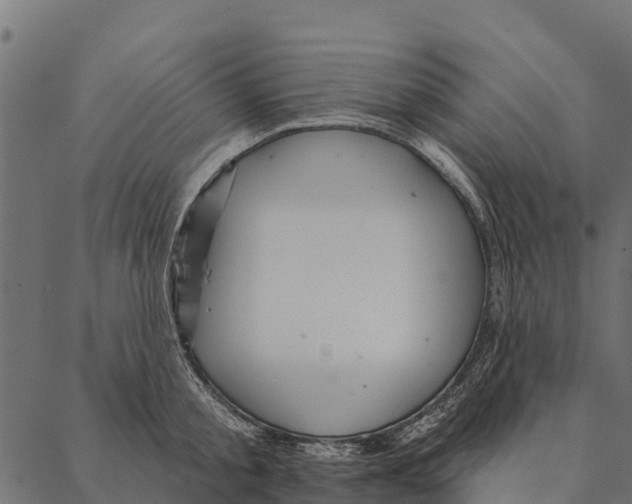 X0000087350805200705181125