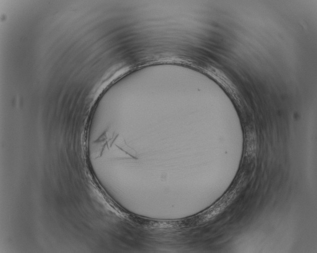 X0000087350806200705181125