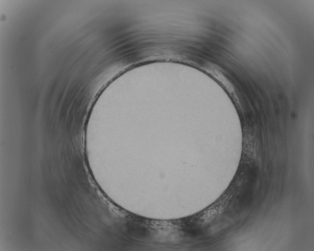 X0000087350807200705181125