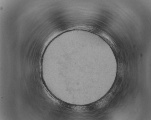 X0000087350808200705181125