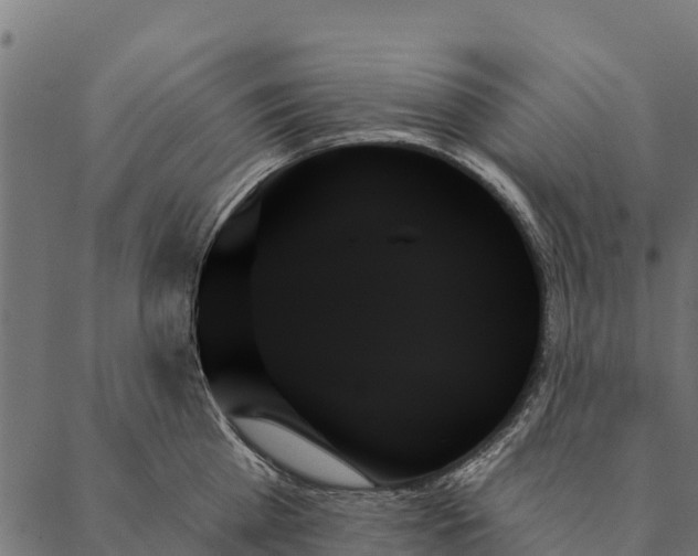 X0000087350809200705181125