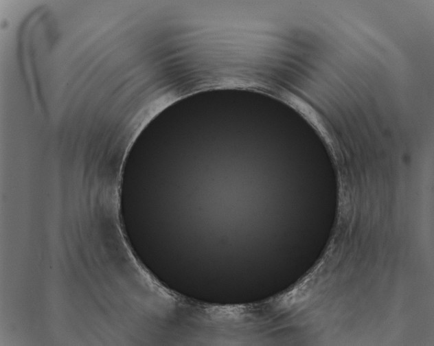 X0000087350810200705181125