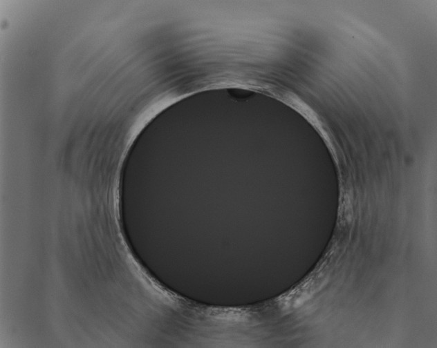 X0000087350811200705181125