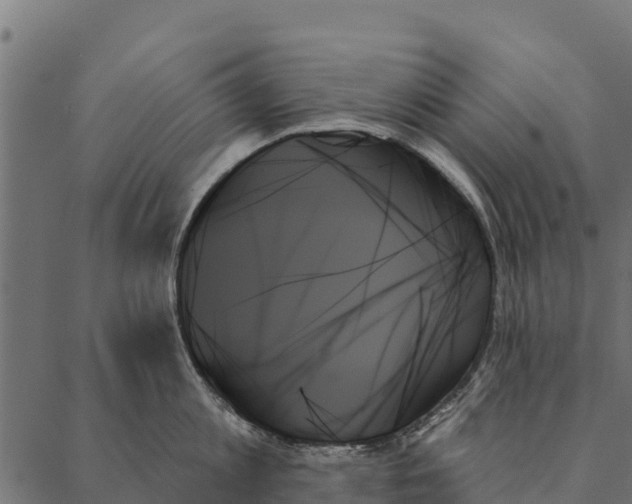 X0000087350813200705181125