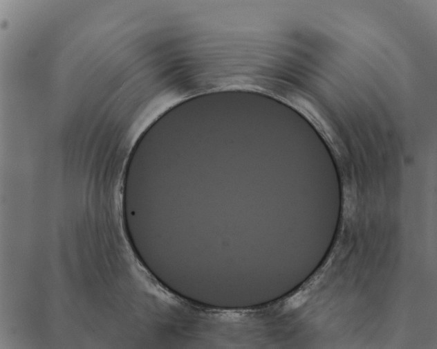 X0000087350814200705181125