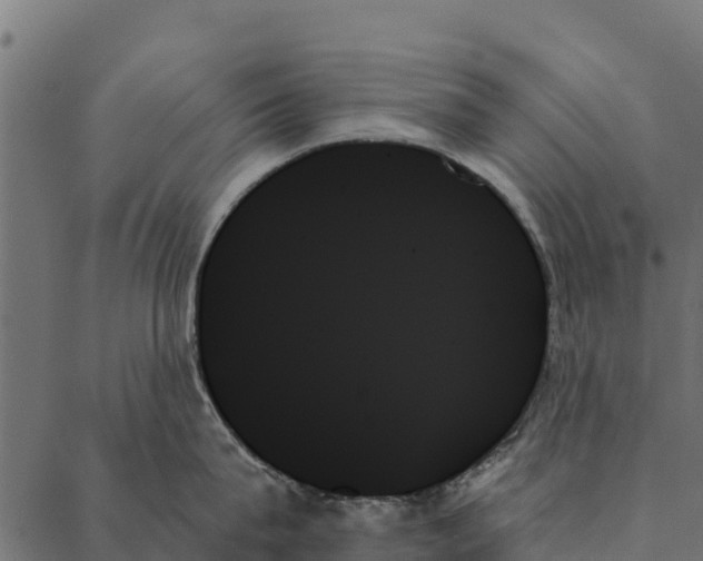 X0000087350815200705181125