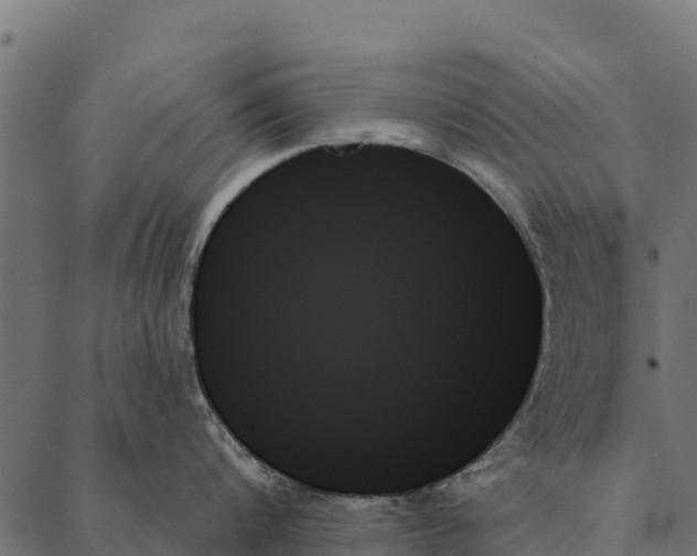 X0000087350816200705181125