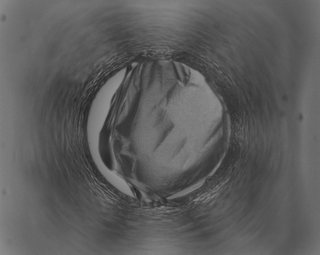 X0000087350818200705181124