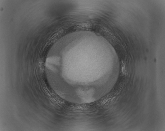 X0000087350819200705181124