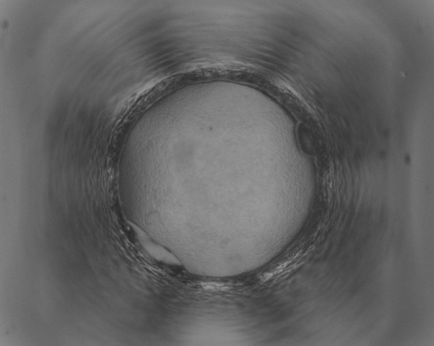 X0000087350822200705181124