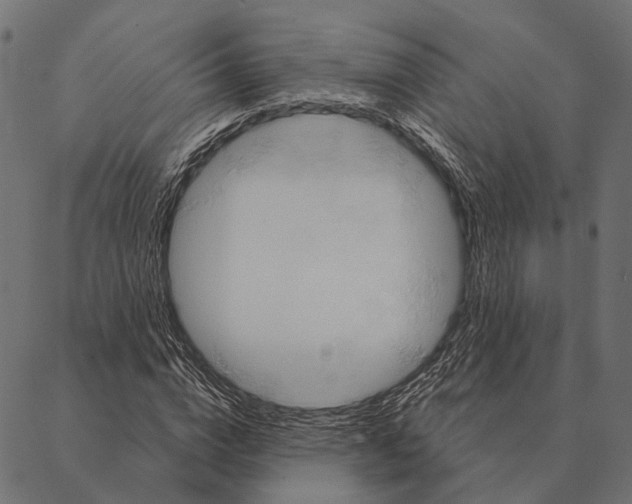 X0000087350824200705181124