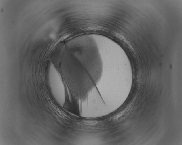 X0000087350825200705181124