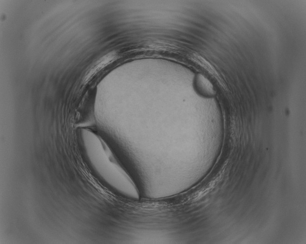 X0000087350826200705181124