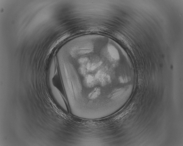 X0000087350827200705181124