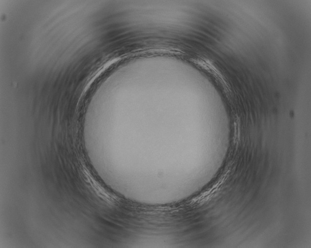 X0000087350828200705181124