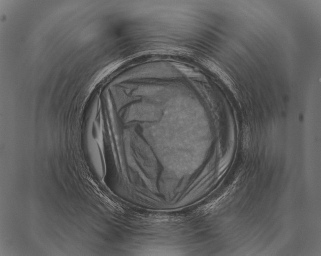 X0000087350829200705181124