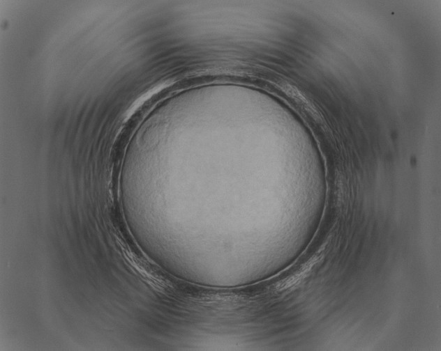 X0000087350830200705181124